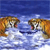 Animals icons for AIM, MSN, MySpace and Yahoo