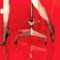 Animated sequence of a figure in red attire against a red background, showing motion transitions between poses.
