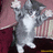Pixelated image of a gray and white cat standing upright with arms raised against a pink and maroon background.