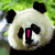 A four- shows a panda's face with changing text overlays: pink vertical bar, blue 'love', purple 'panda!', and empty space