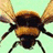A pixelated bee image with yellow, black, and brown colors on a light green background.