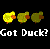 Three pixelated yellow duck icons in sequence with a black background and white text reading 'Got Duck?' below.