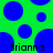 Green background with scattered blue circles and two instances of the name 'Brianna' in dark text.