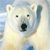 Animals icons for AIM, MSN, MySpace and Yahoo