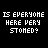 Pixelated text repeatedly asks 'IS EVERYONE HERE VERY STONED?' across a black background in three of three identical phrases