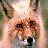 Pixelated image of a fox's face on the left, with text 'Stop Animal Testing' in bold black letters on the right.