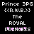 Pixelated text displays 'Prince 3PG', '(CR.W.B.)', 'The', 'ROYAL', and 'PRINCESS' with pink accents on a black background.