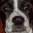 Pixelated close-up of a dog's face with white and dark fur, next to green text reading 'my puppy snickers <33' on black background.
