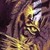 Pixelated static image of a stylized face with yellow and purple tones, featuring dark eyes and mouth against a blurred background.