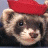 Animated ferret wearing red, white, and blue hats in against solid backgrounds