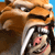 A pixelated close-up of a cartoon animal with brown fur, a pink nose, and a wide open mouth showing teeth, set against a blue background.