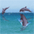 Animated sequence of dolphins leaping from turquoise water against a light blue sky, showing multiple poses and positions in a continuous motion cycle.