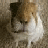 A pixelated image of a small animal with light brown and white fur, positioned against a blurred background, with blue text reading "Waz Up?" on the right side.