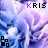 iconhell_krisfl0wer48x48