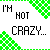 Pixelated green and white graphic with repeated text "I'M NOT CRAZY... I'M JUST OVERLY HYPER!" in black block letters, featuring a repeating pattern of green checkered triangles on a white background.