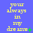 Yellow text on blue background reads 'you're always in my dreams' with green plus and minus symbols appearing sequentially.