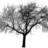 Three grayscale tree icons with varying foliage density displayed in a , one partially cropped on the right