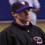 five distinct images showing baseball-related figures and logos, including a person in a black jacket with a purple 'D' logo, a 'ARI ZONA' sign, a person in a white uniform with a 'D' cap, a yellow and purple 'D' logo, and a person in a white cap