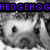 A black-and-white animated icon shows a hedgehog-like character with large eyes and rounded ears, its head turning left to right across frames while purple text 'HEDGEHOG' appears above.