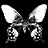 A black-and-white animated sequence showing a butterfly icon transitioning through three states with text elements below each frame.