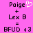Pixelated text and symbols on a pink background with a white heart icon replacing the 'e' in 'Poige' on the left side.
