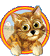 Two cartoon animal icons in circular frames with orange-yellow borders, one cat and one dog, both peeking over a beige landscape background.