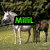 Four horse images arranged in a with text overlays: 'MIRL' in green, 'loves' in pink, and 'horses' in cyan