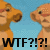 Two pixelated cartoon animals face each other against a blue background with bold black text reading "WTF?!?!!" at the bottom.