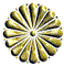 Golden circular and oval-shaped icons with radiating petal-like segments, varying in size and shape across four