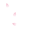 A 4-frame animation of pink cherry blossom petals falling against a gray background, displayed in a 2x2 contact sheet layout with no visible text or additional elements.