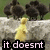 Animated sequence showing a yellow duckling walking left to right across stone wall with black birds in background and text overlay.