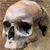 Pixelated grayscale skull with hollow eye sockets and nasal cavity, set against a brownish background.