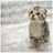 Animated icon of a small animal standing on a light background, with text appearing next to it in the second frame.