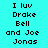 Pixelated text on cyan background with alternating white and cyan displaying 'I luv Drake Bell and Joe Jonas' in black block letters