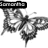 Black-and-white butterfly icon with detailed wing patterns, showing text overlays in different positions across frames.