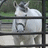 A pixelated image of a white horse behind black metal bars with green foliage in the background, next to blue text reading "Perk!!".