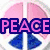 A static image with four distinct sections: a pink and blue peace symbol, a person with 'SHOP' text, a black-and-white figure, and a gray area.