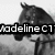 A collage of horse-related images with overlaid text reading 'Madelina C1', 'loves horses', 'ponies', and 'foals' in bold white letters with black outlines.