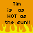 Pixelated orange background with black text reading "Tim is as HOT as the sun!!" and yellow-orange flames at the bottom.