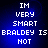 Blue background with white pixelated text reading "IM VERY SMART BRALDEY IS NOT" in four lines, displayed as a static image.
