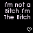Pixelated text repeats 'I'm not a Bitch I'm The Bitch' across a black background with heart and arrow symbols, transitioning between heart and arrow symbols in animation.
