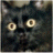 A pixelated black cat with large yellow eyes appears on the left, next to green text reading 'Original Icons .com' on a dark background.