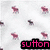 Animated icon with multiple brand logos and text elements, including 'sutton' in pink on black bars across six