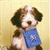 Pixelated dog wearing blue shirt with white pattern, standing against light yellow background, head tilted slightly right, eyes closed, mouth open showing tongue.