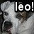 Pixelated image of a light-colored dog with dark patches, partially obscured by bold white text reading 'leo!' on a black background.