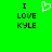 Green background with black text reading "I LOVE KYLE" on both sides and a white pixelated heart symbol in the center.