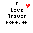 Pixelated text reads "I Love Trevor Forever" with a red heart symbol replacing the word "Love" in one frame and red dots forming an explosion pattern in another.