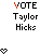 nine pixelated 'VOTE Taylor Hicks' icons with varying text colors and heart symbols above the text