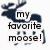 Dark blue moose silhouette with antlers stands on white background, text "my favorite moose!" appears in black lowercase letters over the left side of the image.