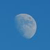 A static 50x50 pixel buddy icon featuring a blurry, light gray circular shape against a solid blue background with no visible text or distinct features.